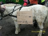 Oktober 2009 047